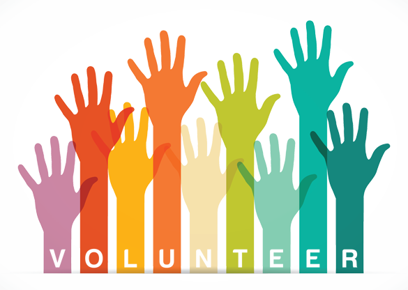 volunteer experience